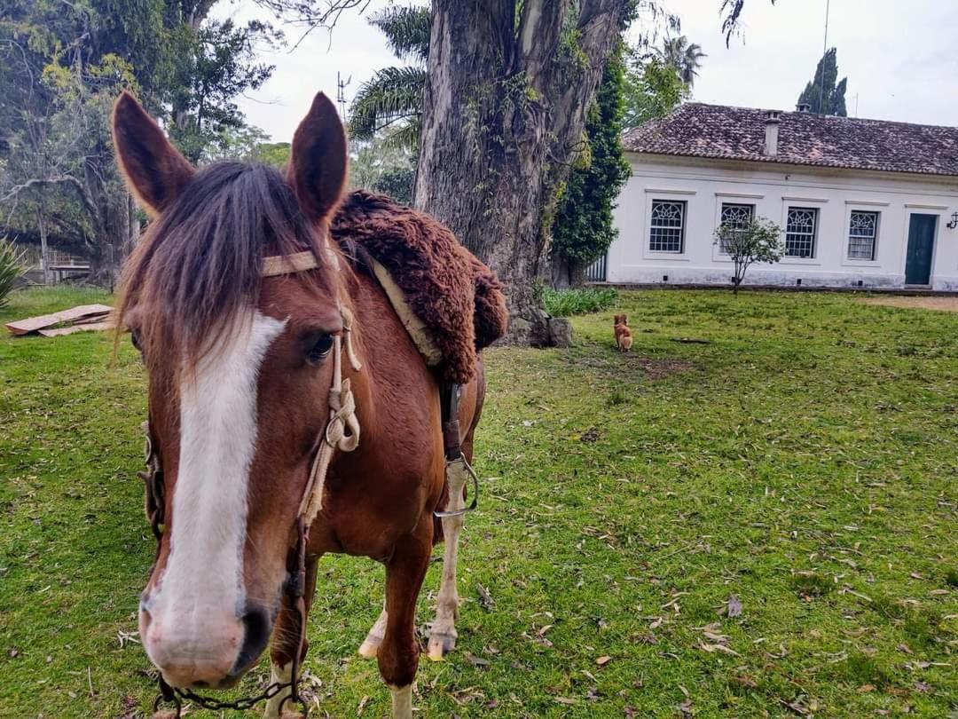 Pousada Do Sobrado Bagé Εξωτερικό φωτογραφία